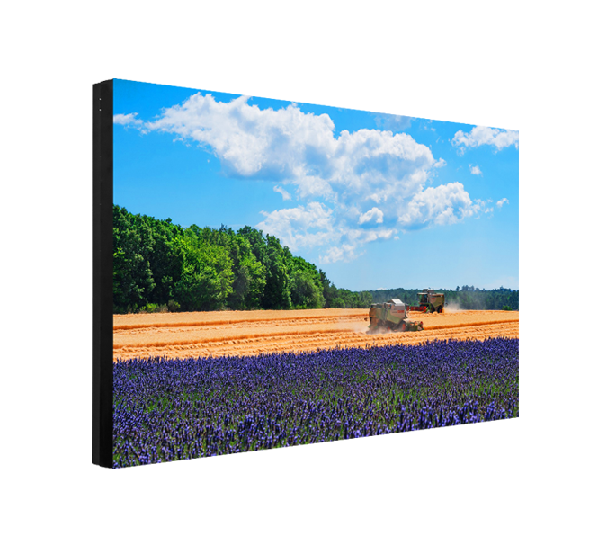 MW5255-S5-D-4K